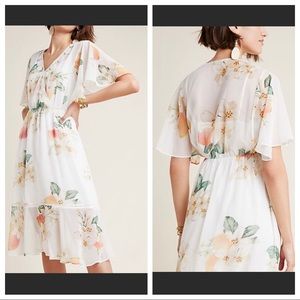 Farm Rio Eloise Dress for Anthropologie